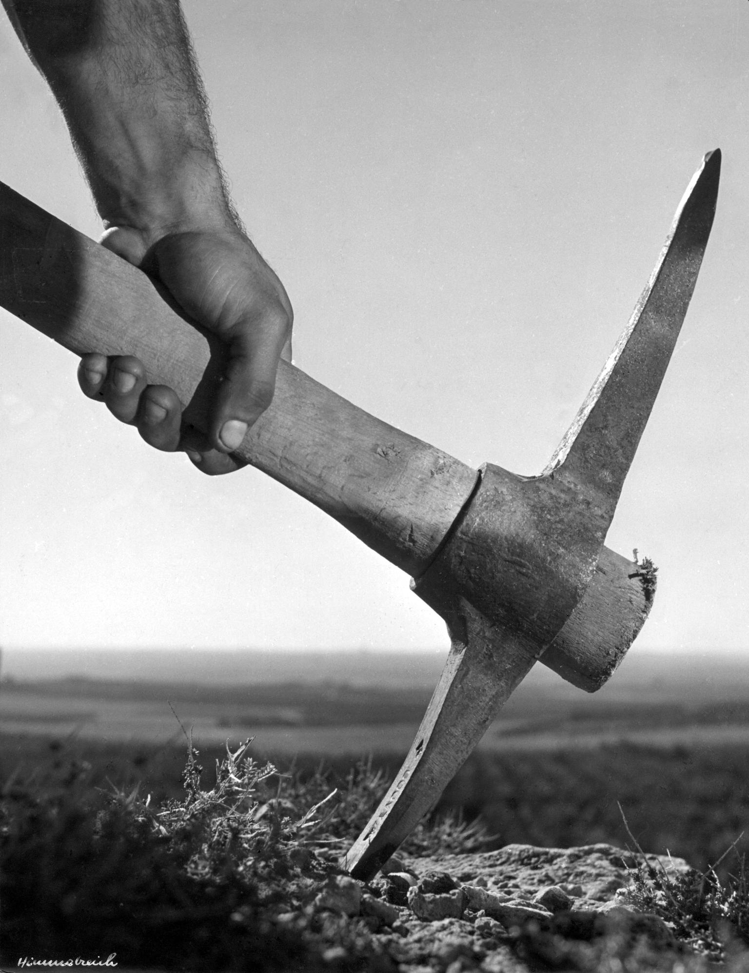 Photograph of a hand holding a garden pick with field in background.