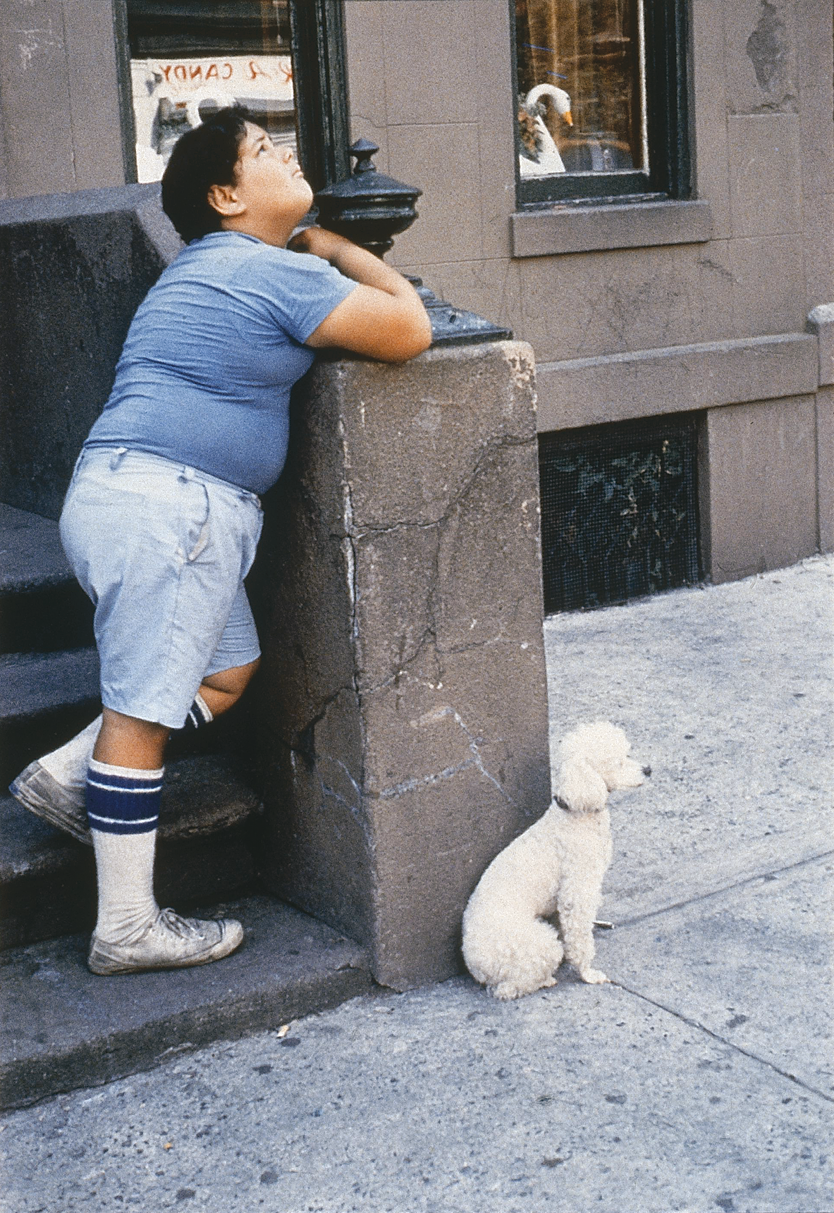 Photograph depicting young boy outdoors leaning on set of stairs looking up while small dog sits on sidewalk next to stair wall.