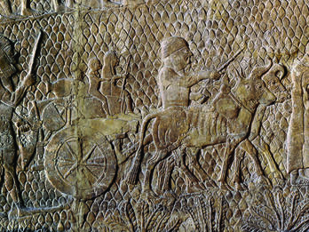 Wall relief depicting profile view of barefoot captives walking with camels, bulls, and wagons.