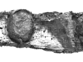 Strip of papyrus with circular seals.
