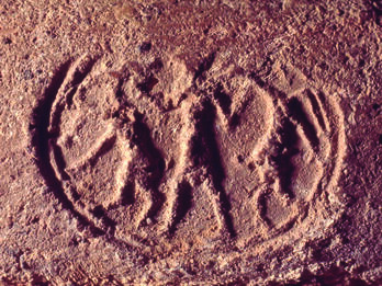 Seal Impression of a Male Figure Holding Two Caprids Seal impression with figure holding two ibex-like animals.