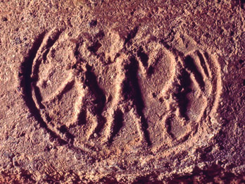 Seal impression with figure holding two ibex-like animals.