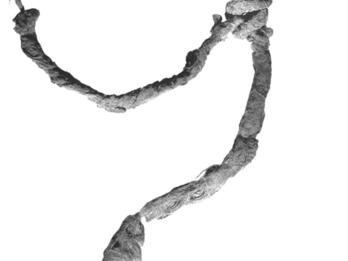 Photograph of knotted linen fringe.