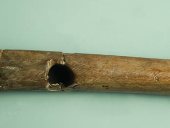 Bone flute decorated with pair of parallel incisions around each end with zigzag design between and hole near center.