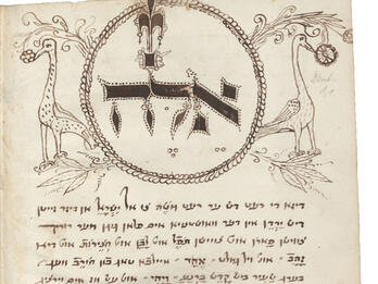 Yiddish Translation of the Bible Manuscript page of drawings of bird and plants on top and Yiddish text below.