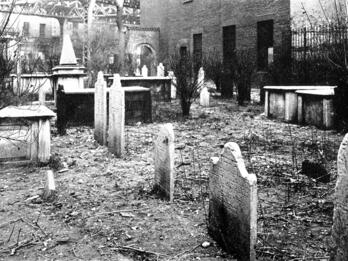 Photograph of headstones in cemetery. 