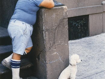 New York, 1979 Photograph depicting young boy outdoors leaning on set of stairs looking up while small dog sits on sidewalk next to stair wall.