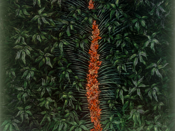 The Only Corner Painting of vertical row of flowers surrounded by leaves.