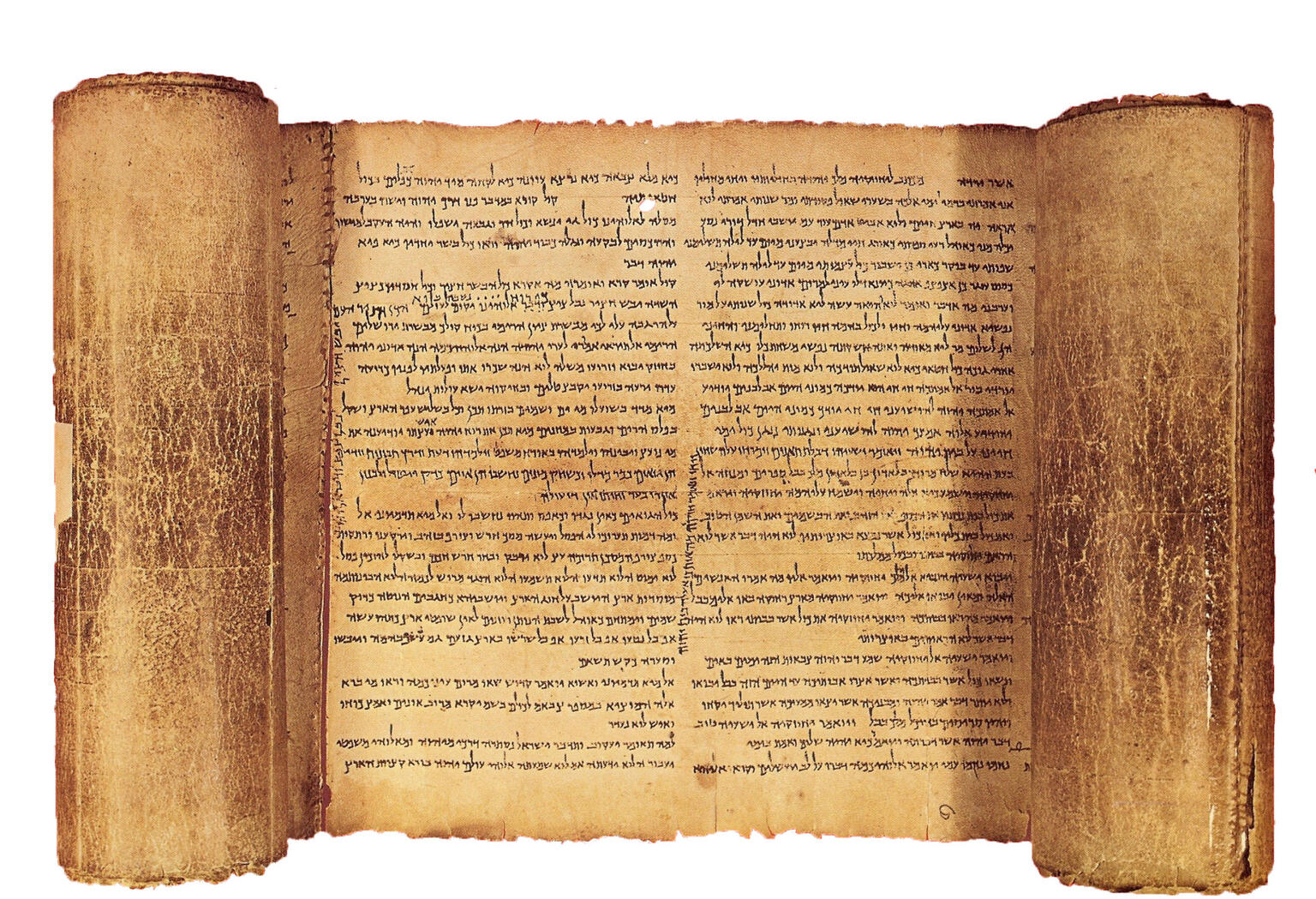 Partially unrolled scroll with page of Hebrew writing visible.