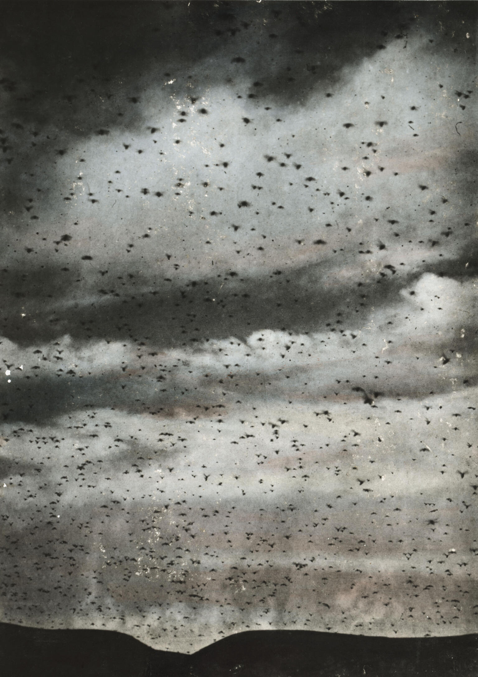 Photograph of sky filled with flying insects.