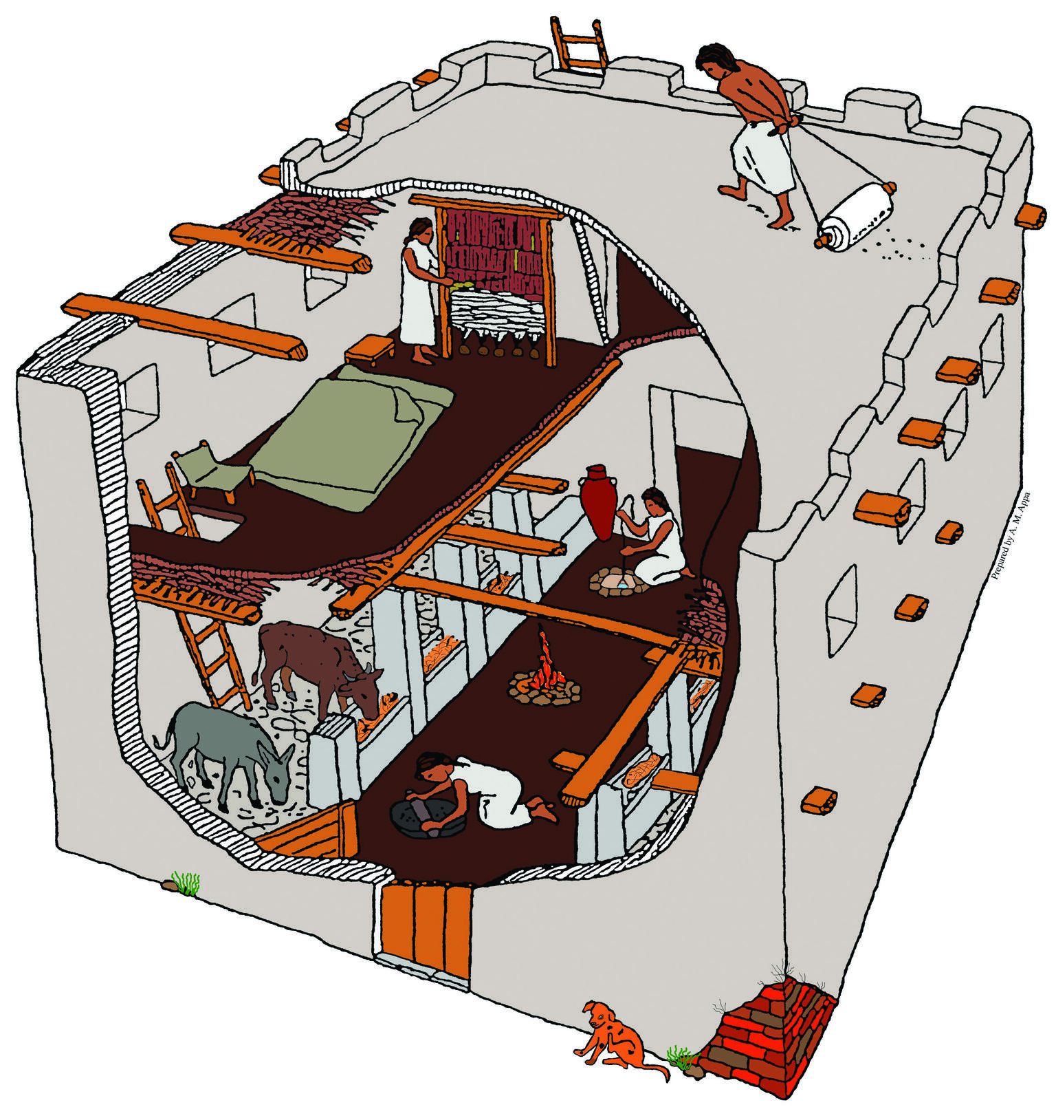 Cut-away drawing of house interior with two stories consisting of an upper bedroom, and animal stalls and cooking areas on bottom floor.