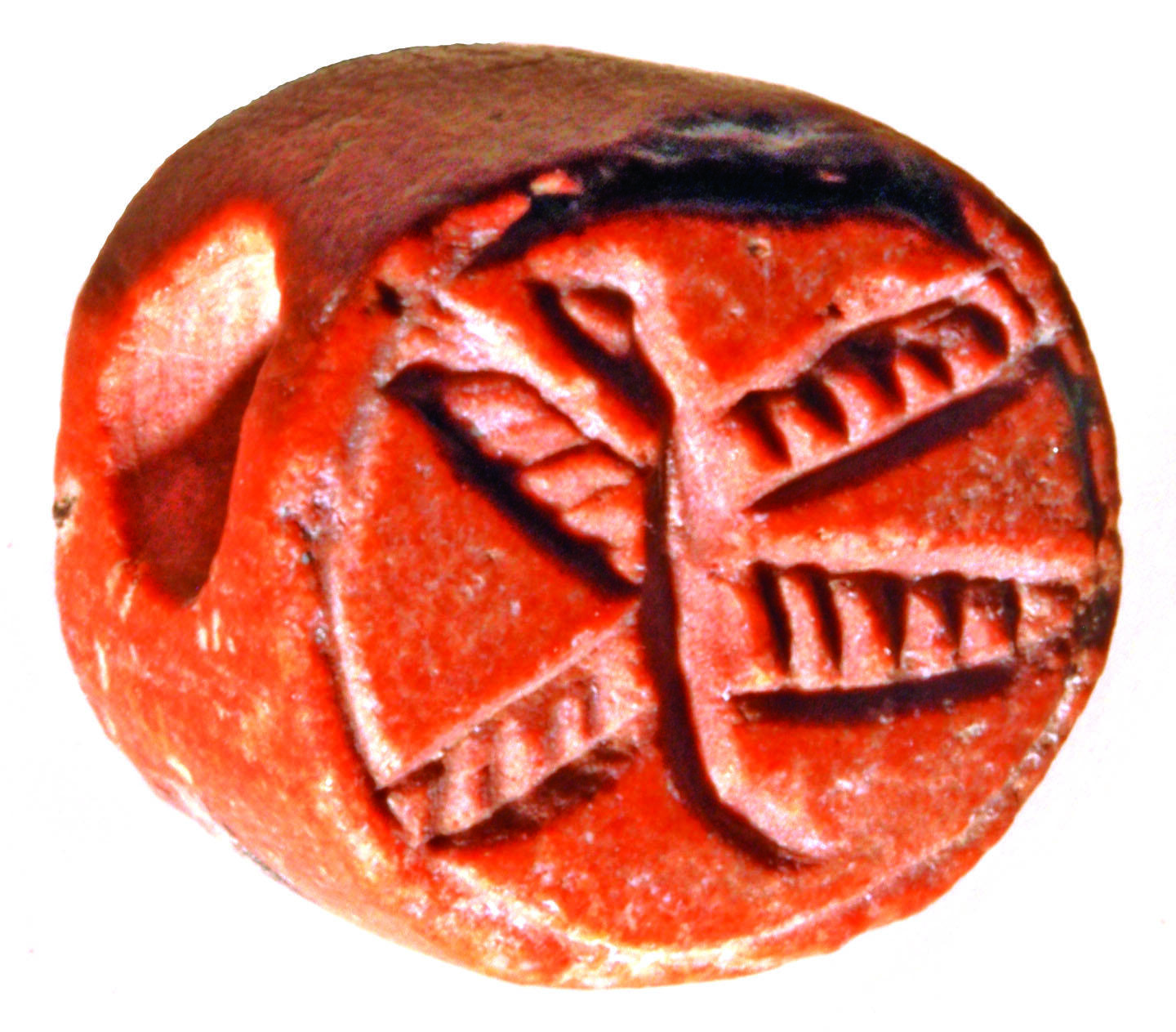 Seal with four-winged serpent. Seal with four-winged serpent.