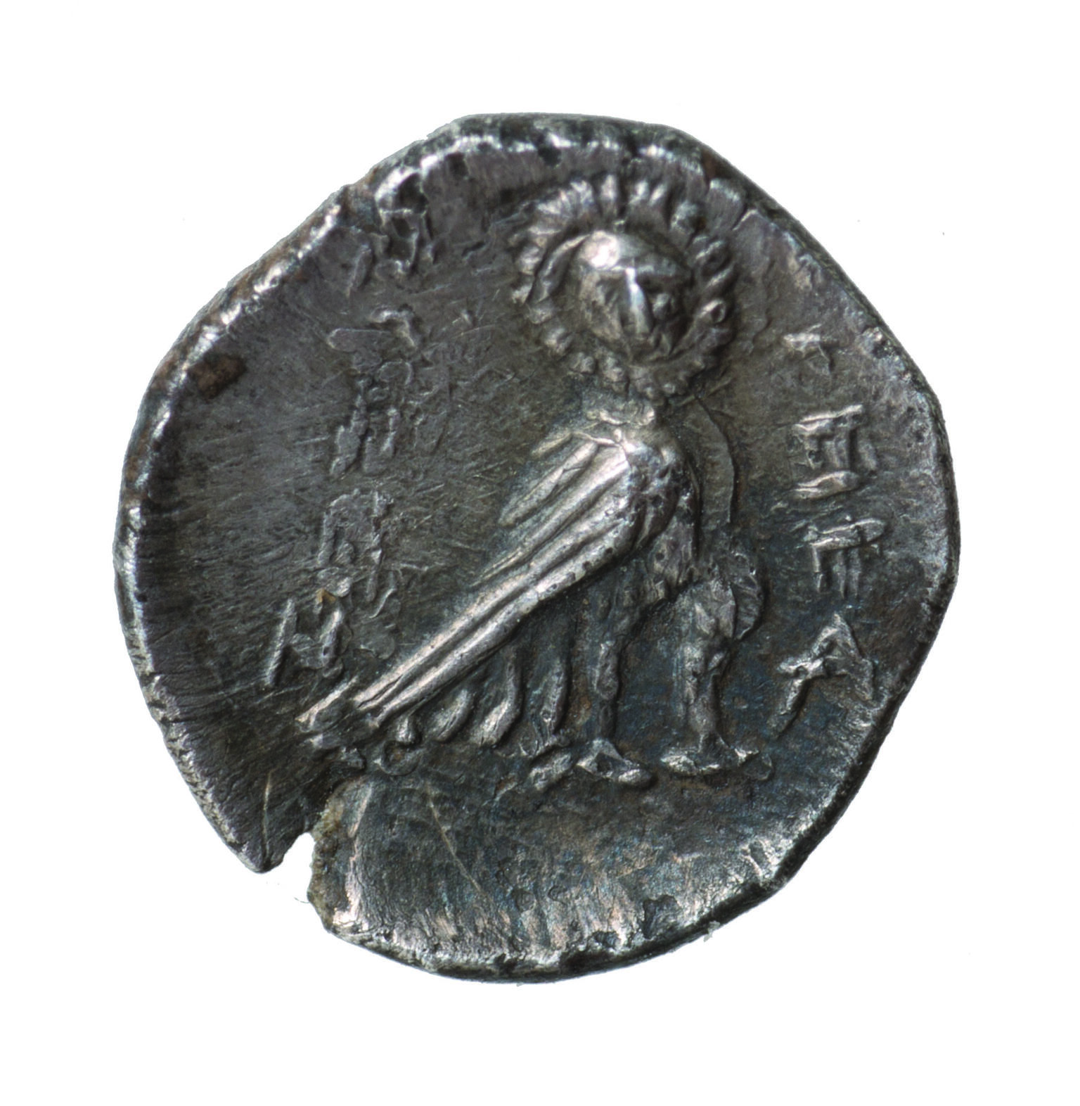 Coin with image of owl with body facing right and face turned towards the viewer and Hebrew inscription.