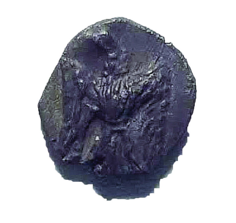 Front of coin depicting animal horn. Front of coin depicting animal horn.