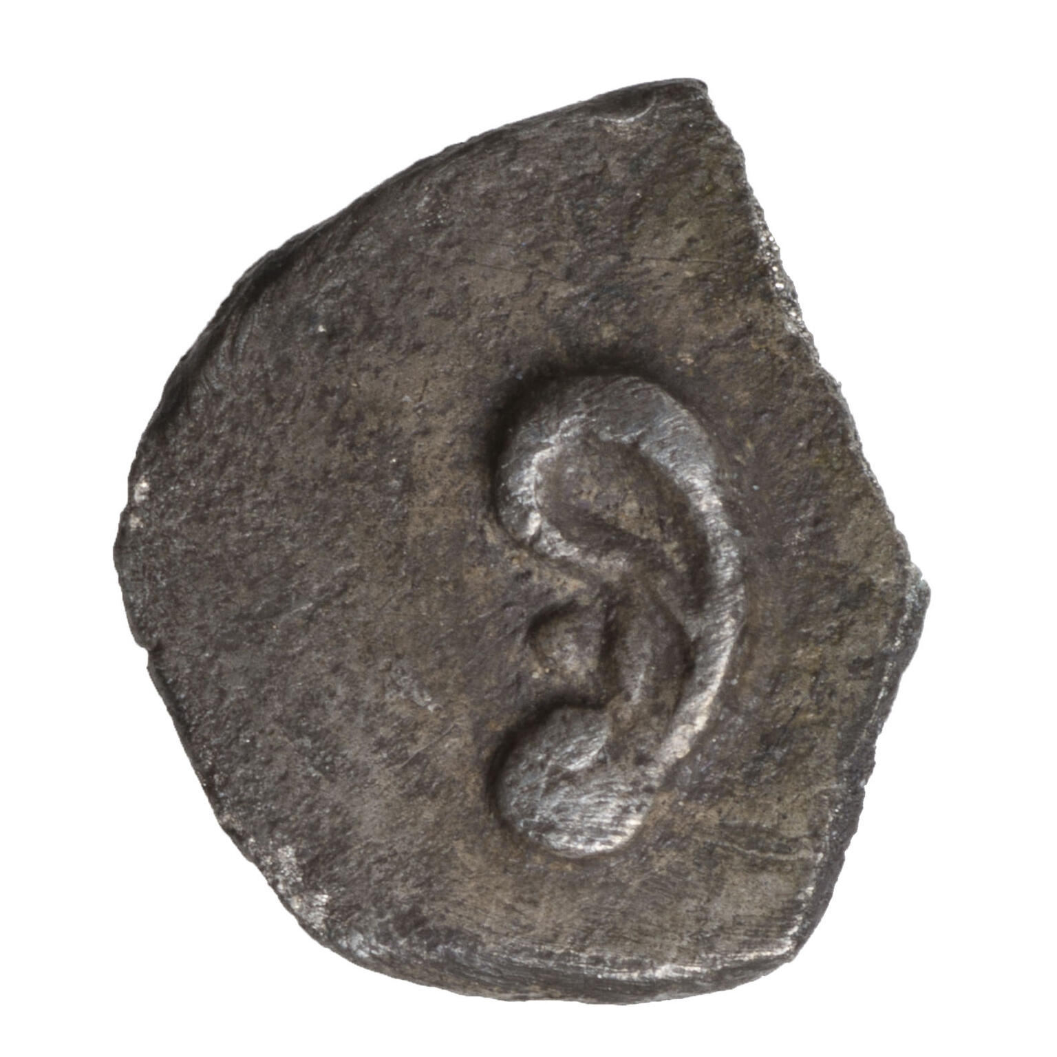 Coin with image of an ear with pronounced lobe.