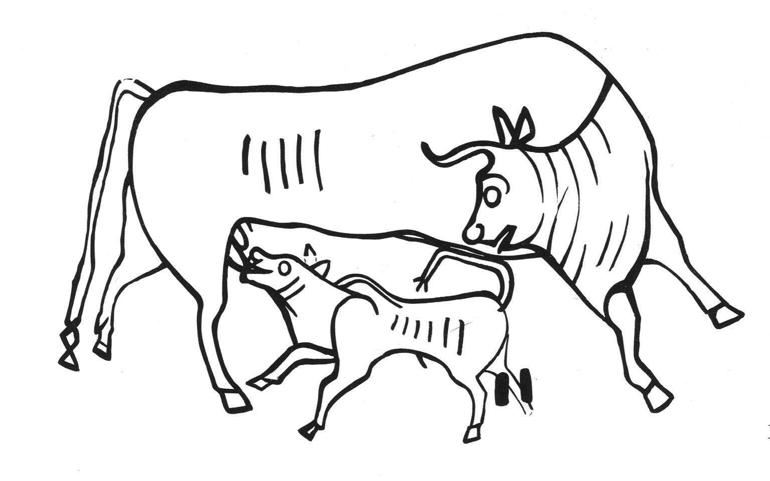 Drawing of cow and nursing calf. Drawing of cow and nursing calf.