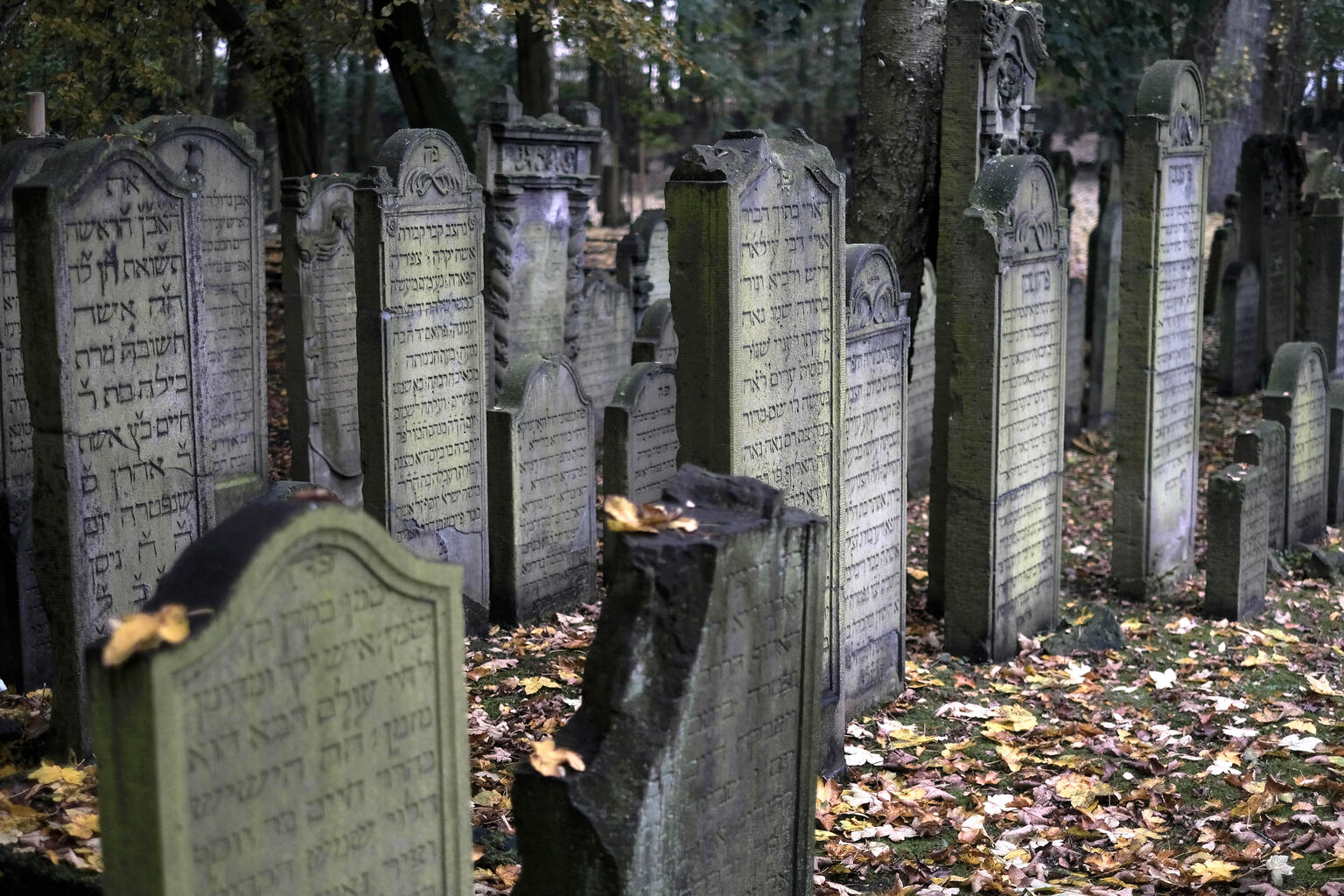 Gravestones in rows.