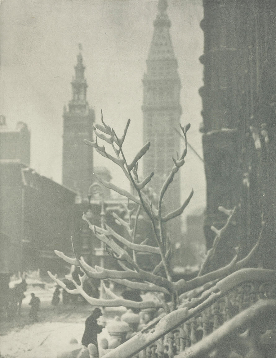 Photograph of branch in foreground through which a cityscape is visible in background.