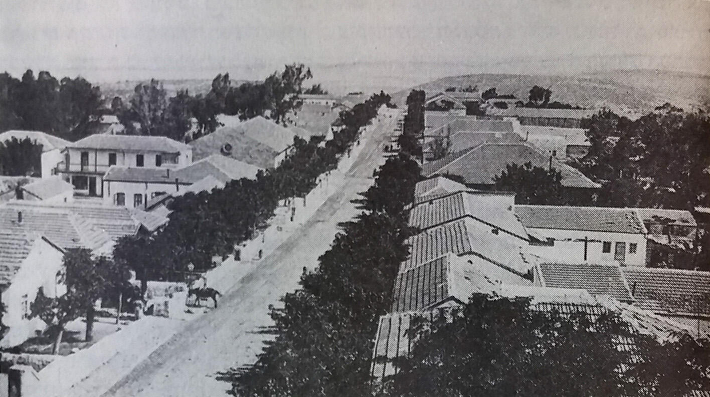 Photograph of street lined with trees and houses.