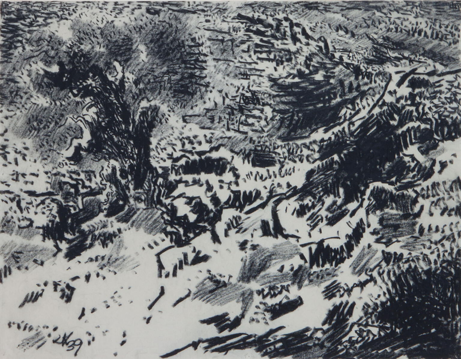 Chalk drawing of trees and hills. Chalk drawing of trees and hills.