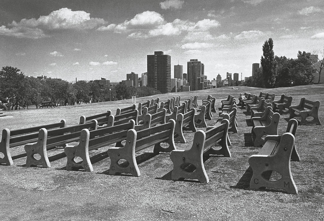 Photograph depicting rows of empty benches in a park with a cityscape in the background. 