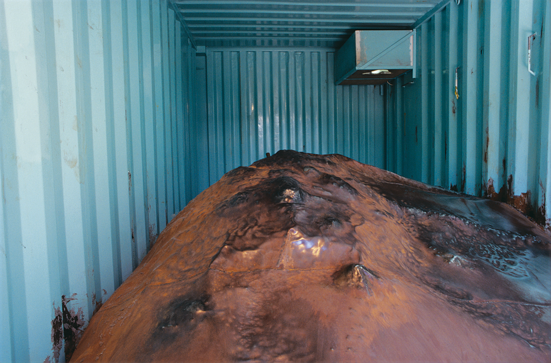 Interior of shipping container with large mound.