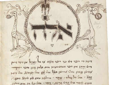 Manuscript page of drawings of bird and plants on top and Yiddish text below. 