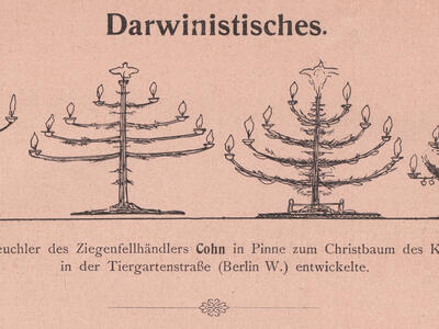 Four images of trees resembling candelabra and then a fir tree, with German text above and below.