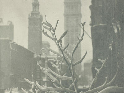 Photograph of branch in foreground through which a cityscape is visible in background.
