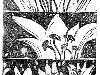 Five drawings of flowers arranged in horizontal panels. 