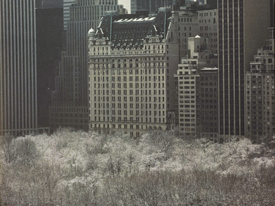 Photograph of snowy plaza surrounded by trees with skyscrapers in the background. 