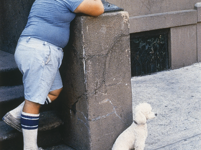 Photograph depicting young boy outdoors leaning on set of stairs looking up while small dog sits on sidewalk next to stair wall.
