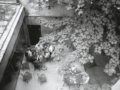 Aerial photograph of courtyard with large tree featuring people seated at tables socializing. 
