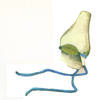 Drawing of cone-shaped hat with strings to fasten it on.