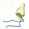 Drawing of cone-shaped hat with strings to fasten it on.
